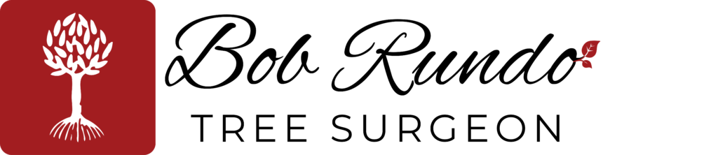 bob rundo tree surgeon logo